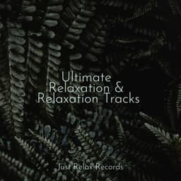 Ultimate Relaxation & Relaxation Tracks - Study Hard