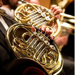 Gentle Touch: Orchestra for Spa - Raymond Floyd