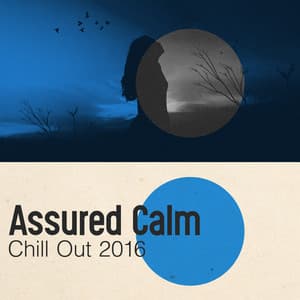 Assured Calm - Chill Out 2016