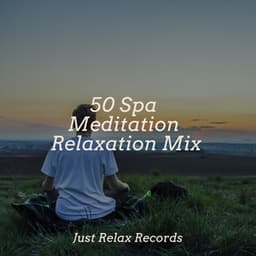 50 Spa Meditation Relaxation Mix - Meditación Guiada