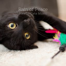 Rain of Peace: Playful Cats Music - Morning Jazz