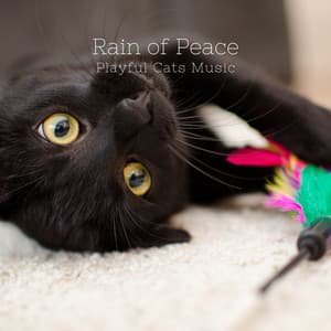 Rain of Peace: Playful Cats Music - Morning Jazz