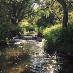 Relajación Con El Arroyo: Aguas Calmantes Contra El Estrés - Ruidos Relajantes