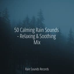 50 Calming Rain Sounds - Relaxing & Soothing Mix - Sleep Sound Library