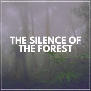 The Silence of the Forest - Forest Soundscapes