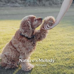 Nature's Melody: A Pet's Serenade - Digital Sounds Recordings