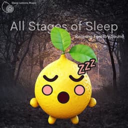 All Stages of Sleep - Sleep Lemons Music