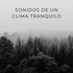Sonidos De Un Clima Tranquilo - Sonidos del clima
