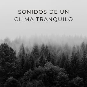 Sonidos De Un Clima Tranquilo - Sonidos del clima