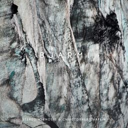 Bjarmi - Stereo Hypnosis