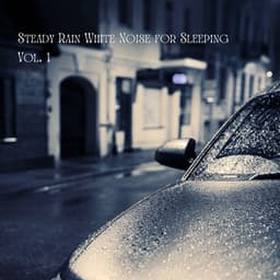 Steady Rain White Noise for Sleeping Vol. 1 - White Noise Therapy