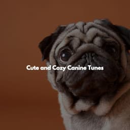 Cute and Cozy Canine Tunes - Coffeehouse Lounge