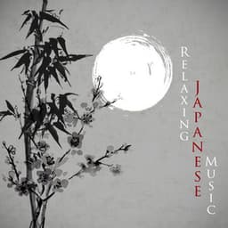 Relaxing Japanese Music - The Master Of Chi
