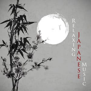Relaxing Japanese Music - The Master Of Chi