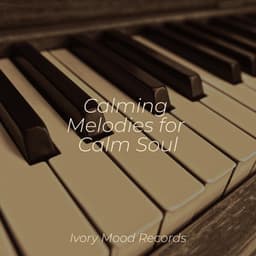 Calming Melodies for Calm Soul - Yoga Music