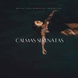 Calmas Serenatas: Música Para Momentos Tranquilos - Habitos Saludables
