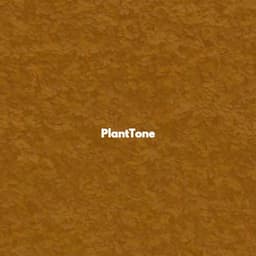 PlantTone - Jazzy Studying Music