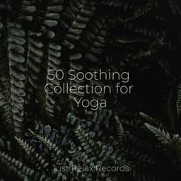 50 Soothing Collection for Yoga - Relaxamento