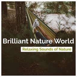 Brilliant Nature World - Relaxing Sounds Of Nature