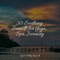 50 Soothing Sounds for Yoga, Spa, Serenity - Sounds of Nature Relaxation