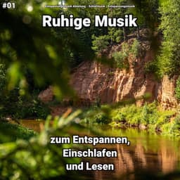 #01 Ruhige Musik zum Entspannen, Einschlafen und Lesen - Entspannungsmusik Abteilung