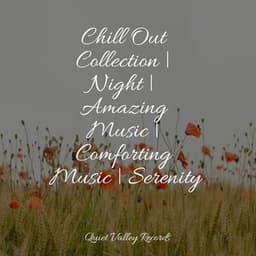 Chill Out Collection | Night | Amazing Music | Comforting Music | Serenity - Anxiety Relief