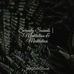 Serenity Sounds | Meditation & Meditation - Musica Romantica