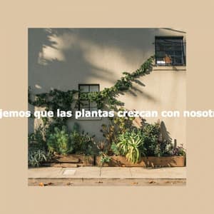 Dejemos que las plantas crezcan con nosotros - Cafe Müzik Radyo