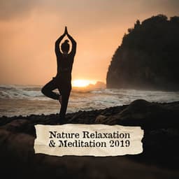 Nature Relaxation & Meditation 2019 - Antistress Music Collection