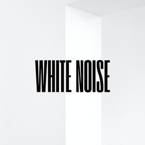 White Noise - White Noise Research