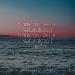 Sonidos De La Naturaleza | Sonidos De La Naturaleza | Sueño - Musica Para Estudiar Academy