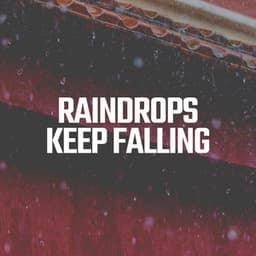 Raindrops Keep Falling - Rainfall