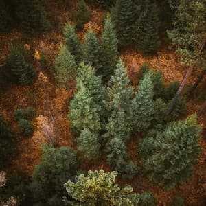 Relaxing Cool Baby Noise - Pink Noise Baby Sleep