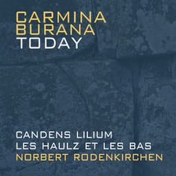 Carmina Burana Today - Anonymus