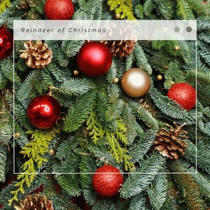 4 Christmas Reindeer of Christmas - Zen Christmas