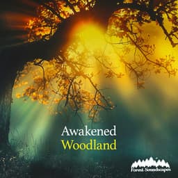 Awakened Woodland - Forest Soundscapes