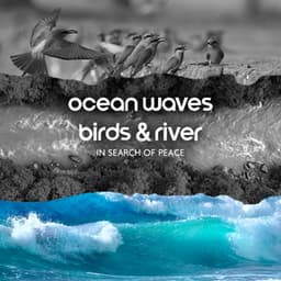 Ocean Waves, Birds & River: In Search of Peace - Harmony Green