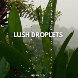 Lush Droplets - Oh so Tired