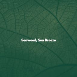 Seaweed, Sea Breeze - Coffee Break Bgm Heaven