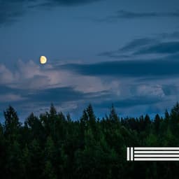 Night Crickets Sounds - Night Sounds