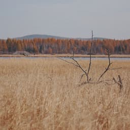 Sleep Compilation to Guide Yoga & find Calm - Big Sounds