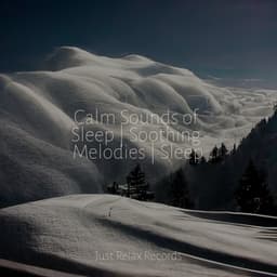 Calm Sounds of Sleep | Soothing Melodies | Sleep - Musica Relajante