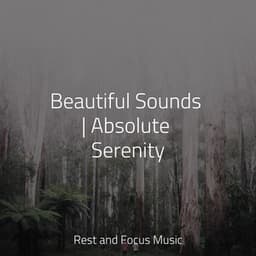 Beautiful Sounds | Absolute Serenity - Sleep Waves