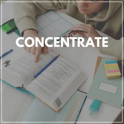 Concentrate - Music for Work