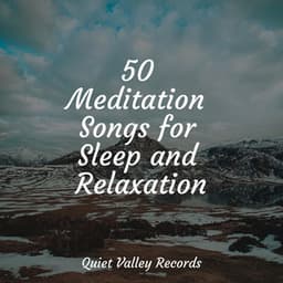 50 Meditation Songs for Sleep and Relaxation - Meditação Maestro