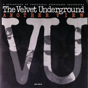 Another View - The Velvet Underground