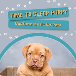 Time to Sleep Puppy - Bedtime Music for Pets - Bedtime Songs Collective
