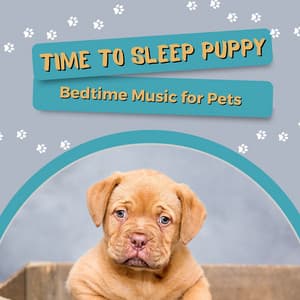 Time to Sleep Puppy - Bedtime Music for Pets - Bedtime Songs Collective
