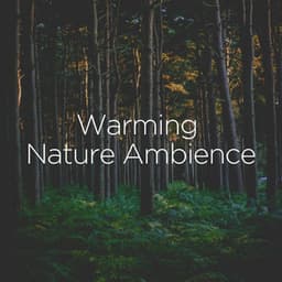 Warming Nature Ambience - Sound of Nature Library