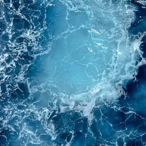 0 Hour Zen: Calm Vibrations - Coastal Sounds